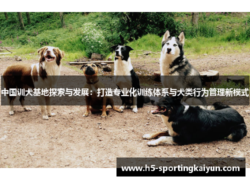 中国训犬基地探索与发展：打造专业化训练体系与犬类行为管理新模式